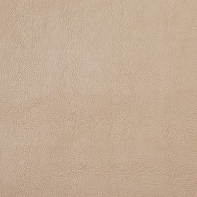 S7447 Flax