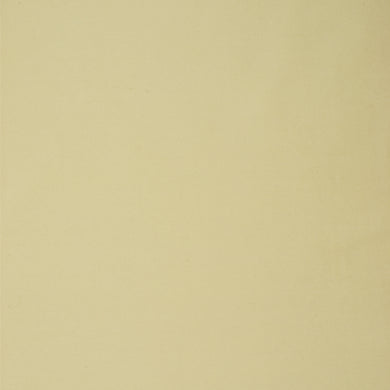 SWGH-S1475 BONE