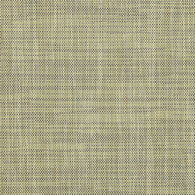 SWT-5928-0034 Augustine Moss  Sunbrella® SLING Chair Material