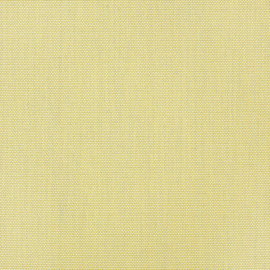 SWT-5928-0040 Augustine Pear  Sling Chair Material