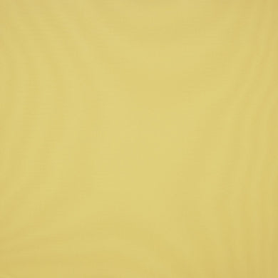 Canvas Canary