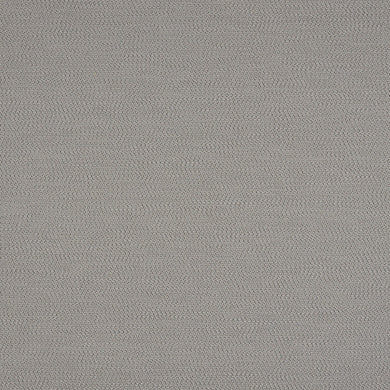 Lopi Silver