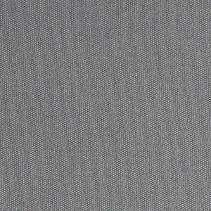 Zori Graphite