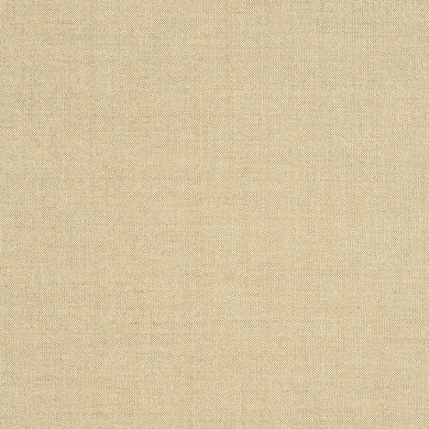 Meridian Wren