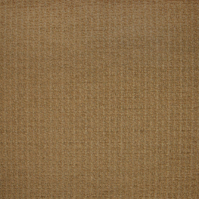SWSA8984 - LATTE