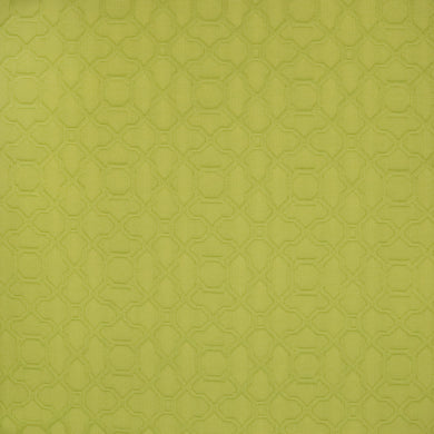 SWSB1020 - LIME