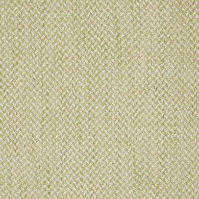 SWSB7668 -KIWI
