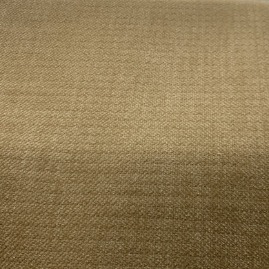 SWSM7889- BARLEY