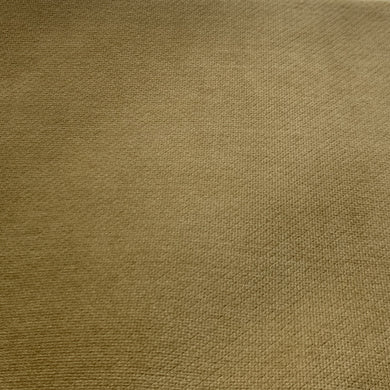 SWSM7926- CAMEL