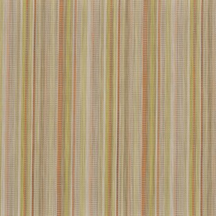 SWS997137 - CHARISMA CITRUS