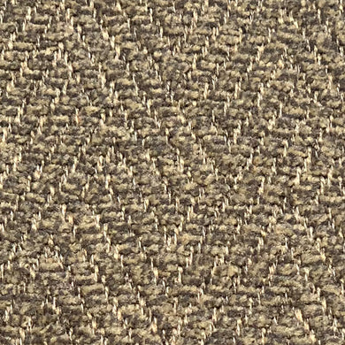 SWS10365-FOSSIL